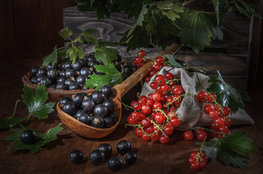 Similar image 21315823