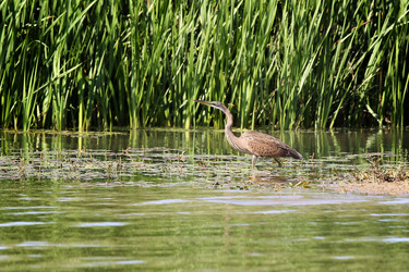 Similar image 21294898