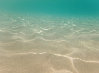 Similar image 21294907