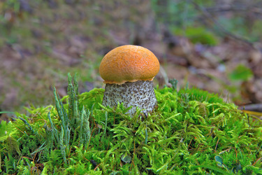 Similar image 21294913