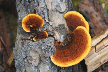 Similar image 21294921