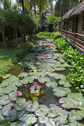 Similar image 21294929