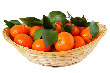 Similar image 21294933