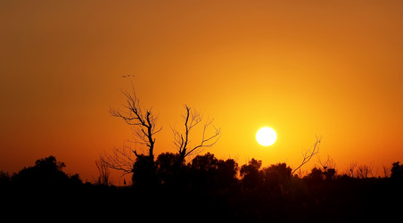 Similar image 21294937