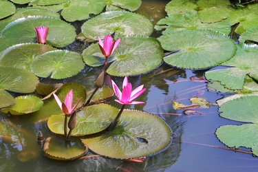 Similar image 21294725