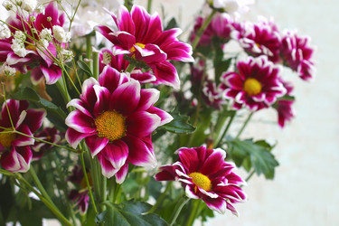 Similar image 21294735