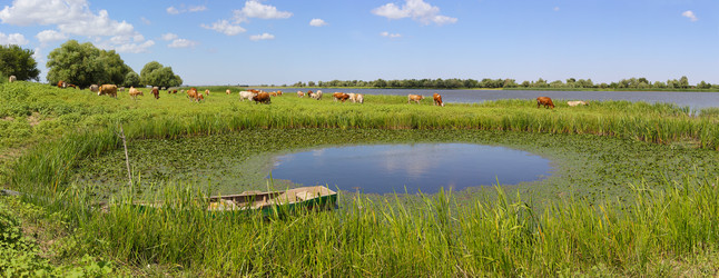 Similar image 21294945