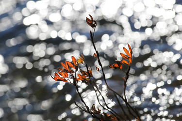 Similar image 21294946