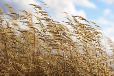 Similar image 21294952