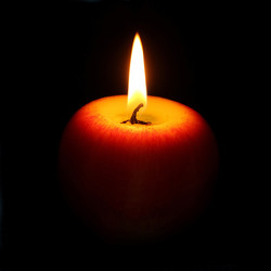 Similar image 21294962