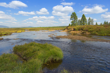 Similar image 21294965