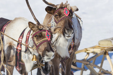 Similar image 21294970