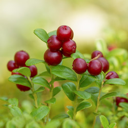 Similar image 21294973