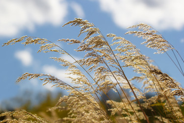 Similar image 21294978