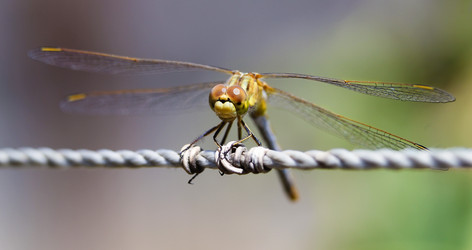 Similar image 21294982