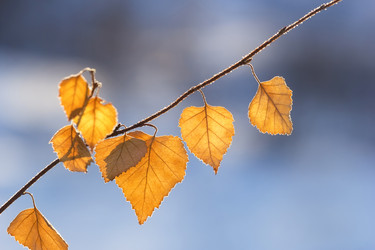 Similar image 21294985