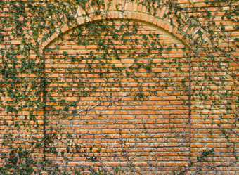 Similar image 21294988