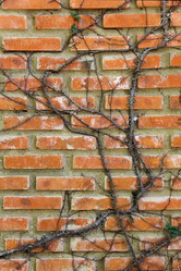 Similar image 21294989