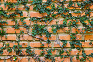 Similar image 21294990