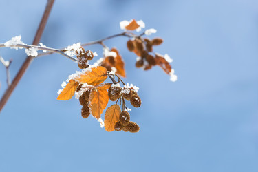 Similar image 21294992