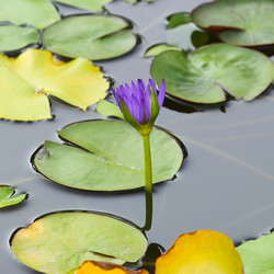 Similar image 21294994