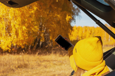 Similar image 21297762