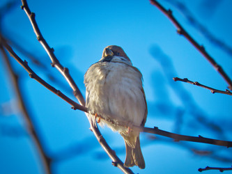 Similar image 21310877