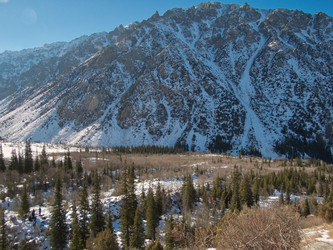 Similar image 21320199