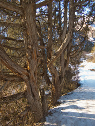 Similar image 21297769