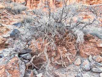 Similar image 21304013