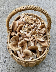 Similar image 21293004