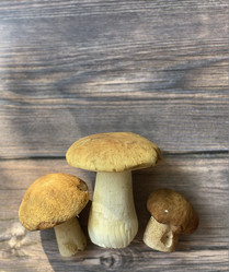 Similar image 21293005