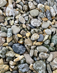 Similar image 21307008