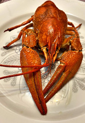 Similar image 21307009