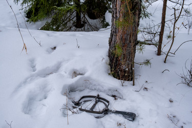 Similar image 21293266