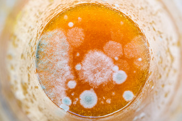 Similar image 21294059