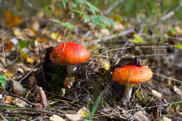 Similar image 21325359