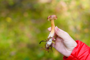 Similar image 21326392