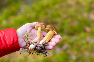 Similar image 21326393