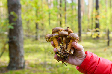 Similar image 21326394