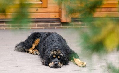 Similar image 21294071