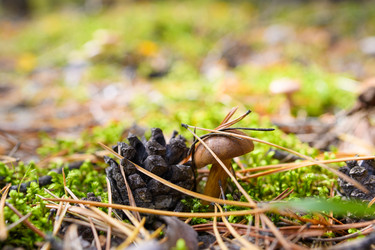 Similar image 21326395