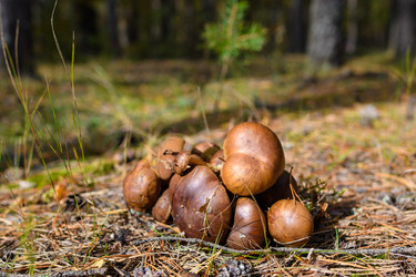 Similar image 21326396