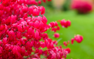 Similar image 21294074