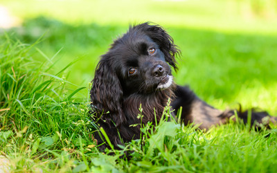 Similar image 21333008