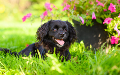 Similar image 21294076