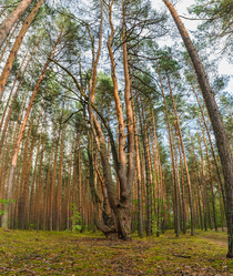 Similar image 21333009