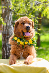 Similar image 21302349