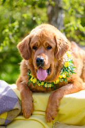 Similar image 21294080