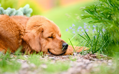 Similar image 21294081